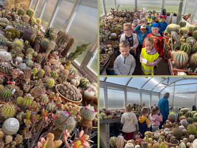 Fotogalerie Mravenečci