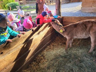 Výlet do svíčkárny v Šestajovicích