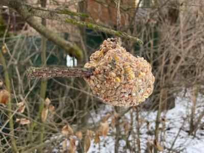 Pomáháme ptáčkům přečkat zimu