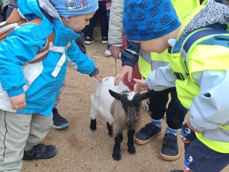 Výlet do ZOO Zájezd